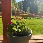Gościejówka Na Skraju Lasu * Wisła