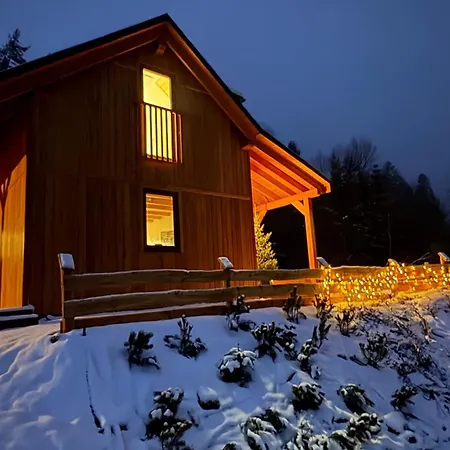 Gosciejowka Na Skraju Lasu Wisła