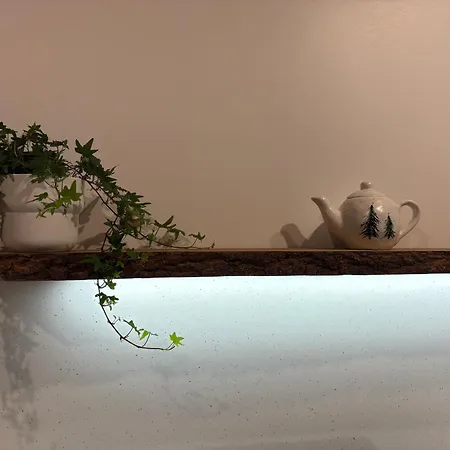 Gosciejowka Na Skraju Lasu