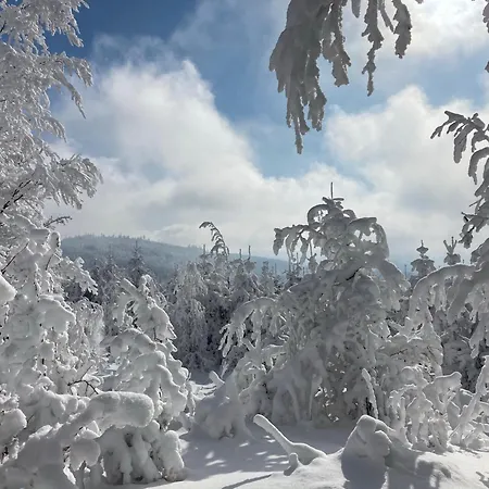 Chalet Gosciejowka Na Skraju Lasu *