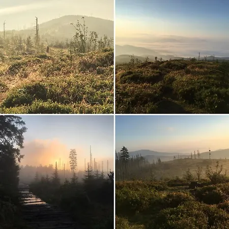 Gosciejowka Na Skraju Lasu Chalet Wisła