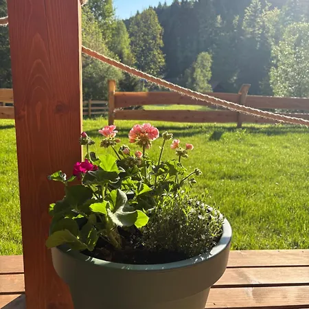 Gosciejowka Na Skraju Lasu * Wisła