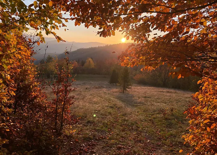 Gosciejowka Na Skraju Lasu * Wisla