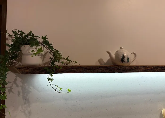 Gosciejowka Na Skraju Lasu