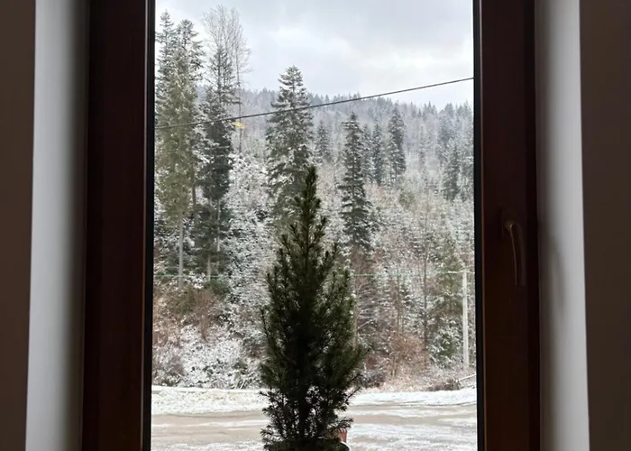 Gosciejowka Na Skraju Lasu Visla