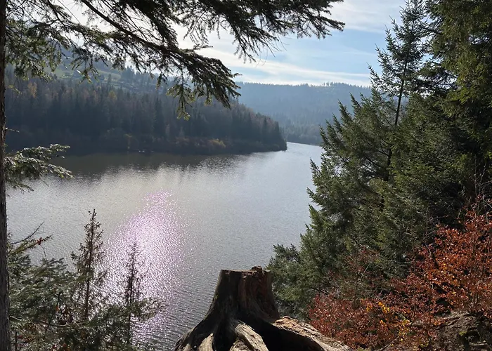 Gosciejowka Na Skraju Lasu *