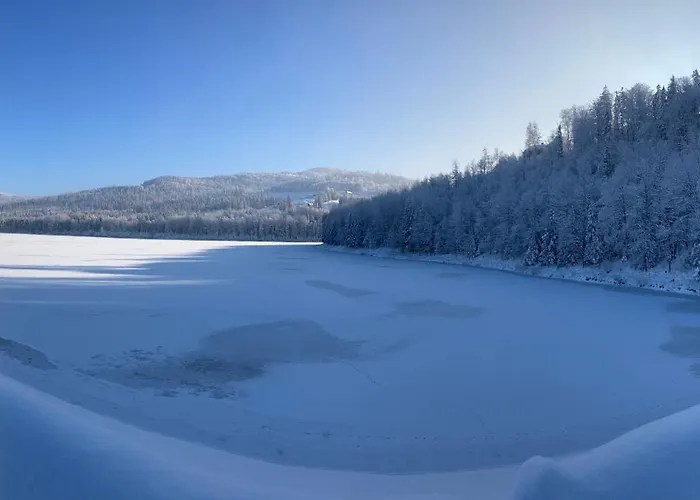 Gosciejowka Na Skraju Lasu * Wisła