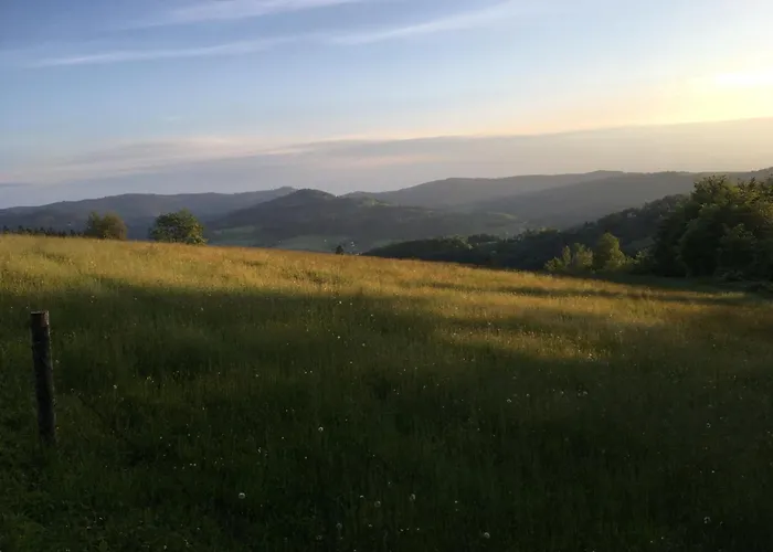 Gosciejowka Na Skraju Lasu