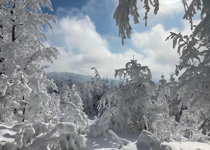 Chalet Gosciejowka Na Skraju Lasu *
