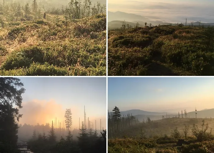Gosciejowka Na Skraju Lasu Chalet Wisla