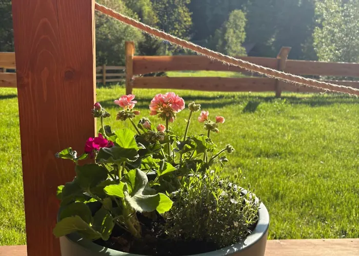 Gosciejowka Na Skraju Lasu * Wisła